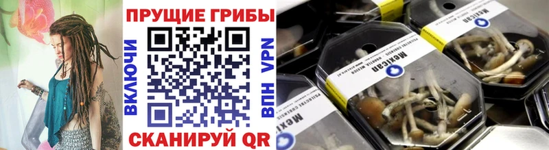 Псилоцибиновые грибы Psilocybe  Чекалин 